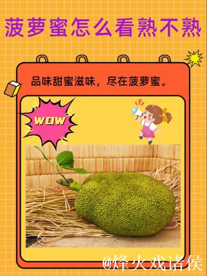 菠萝蜜视频app污