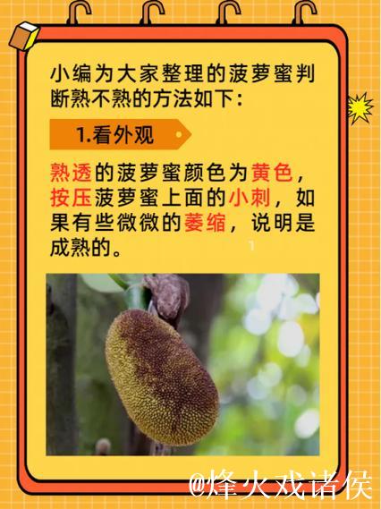 菠萝蜜视频app污