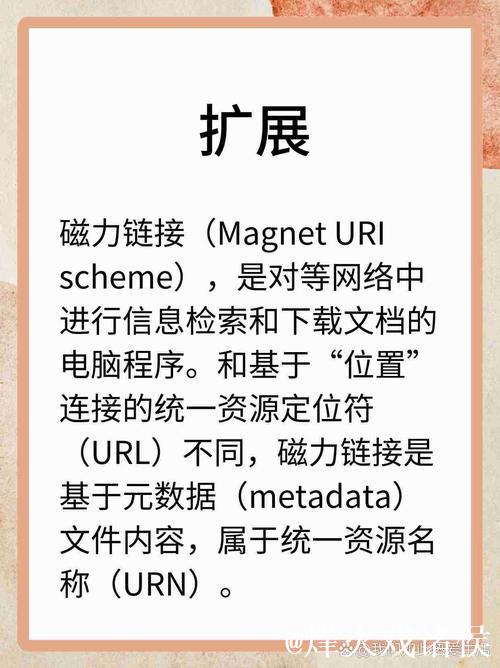 如何获取磁力搜索链接资源解析教程