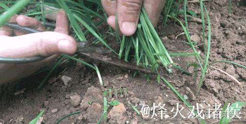 探秘51吃瓜群众路线背后的故事